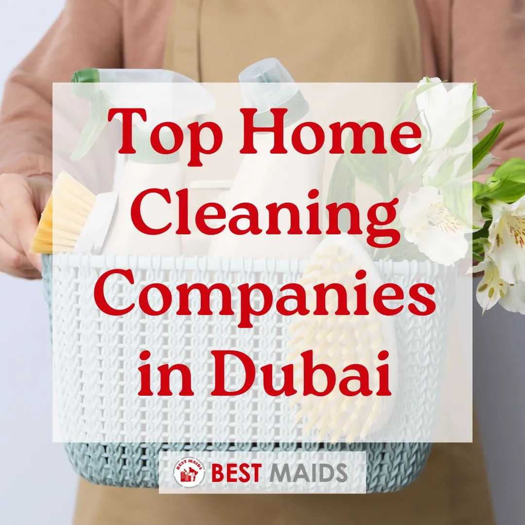 Top Home Cleaning Companies in Dubai