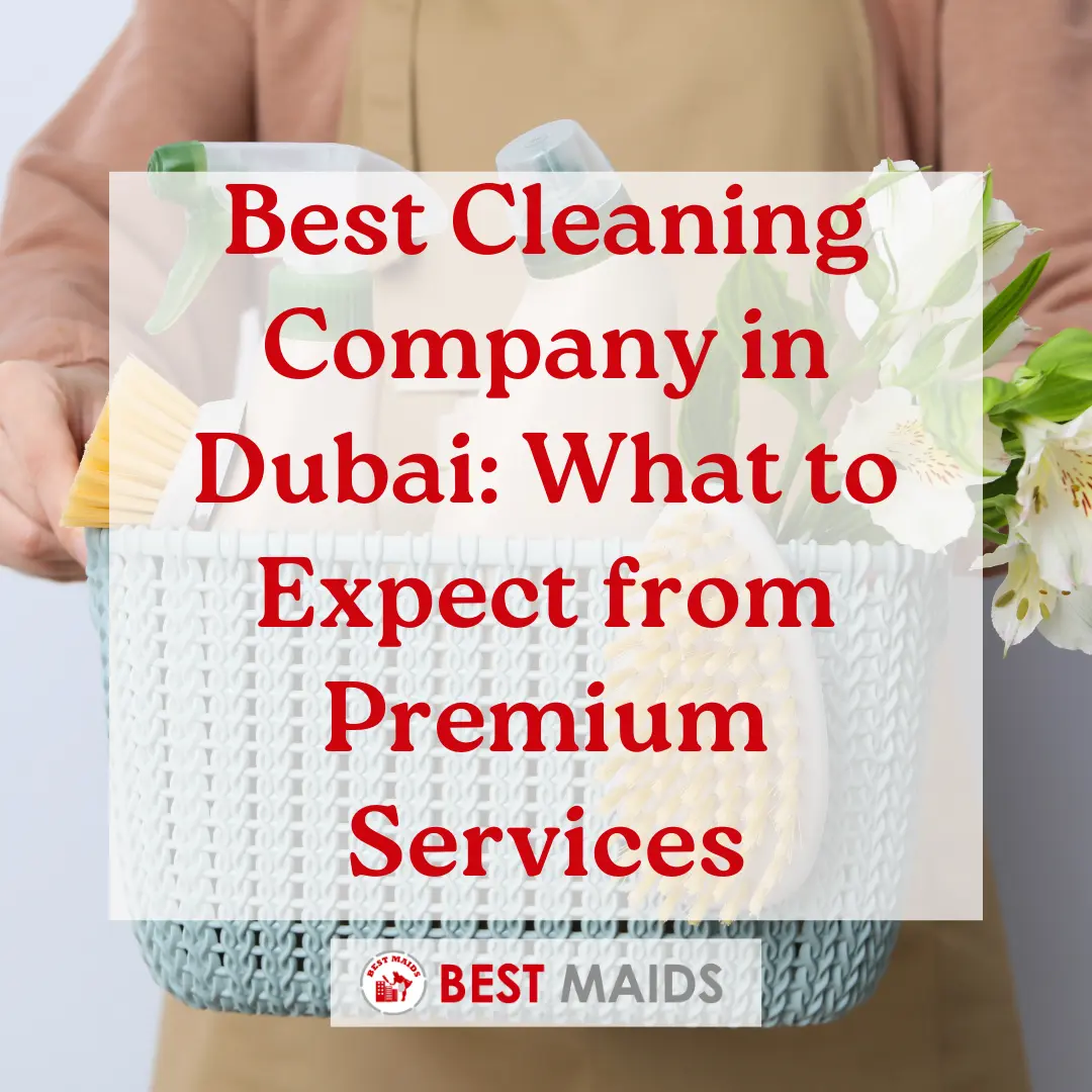 Best Cleaning Company in Dubai: What to Expect from Premium Services