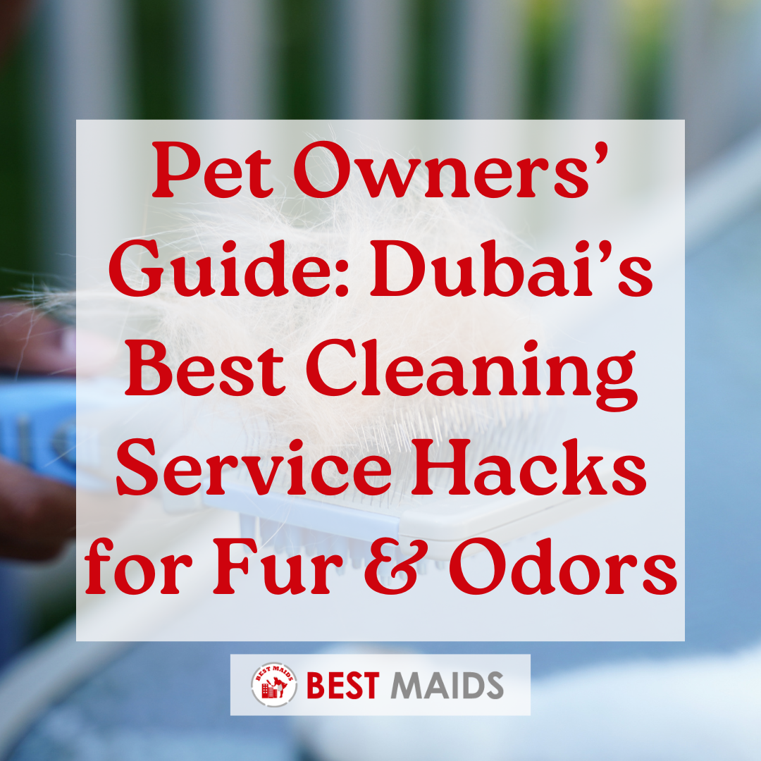 Pet Owners’ Guide: Dubai’s Best Cleaning Service Hacks for Fur & Odors