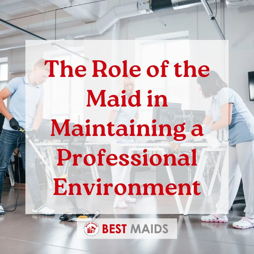 The Role of the Maid in Maintaining a Professional Environment