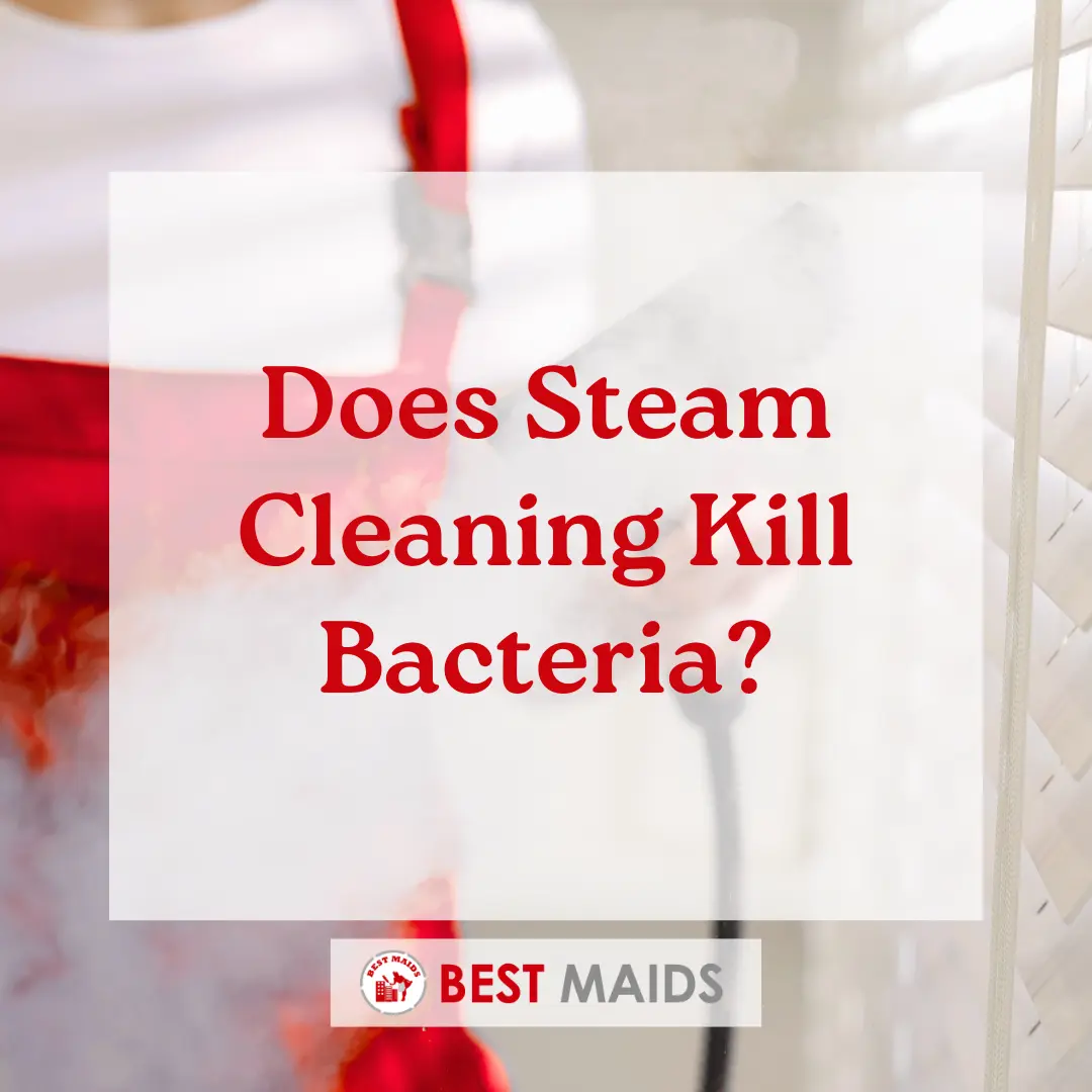 Does Steam Cleaning Kill Bacteria
