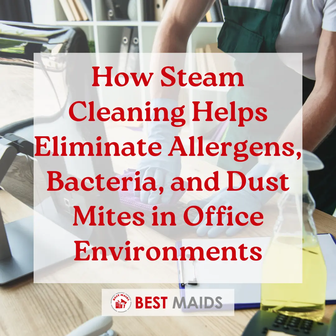 How Steam Cleaning Helps Eliminate Allergens, Bacteria, and Dust Mites in Office Environments
