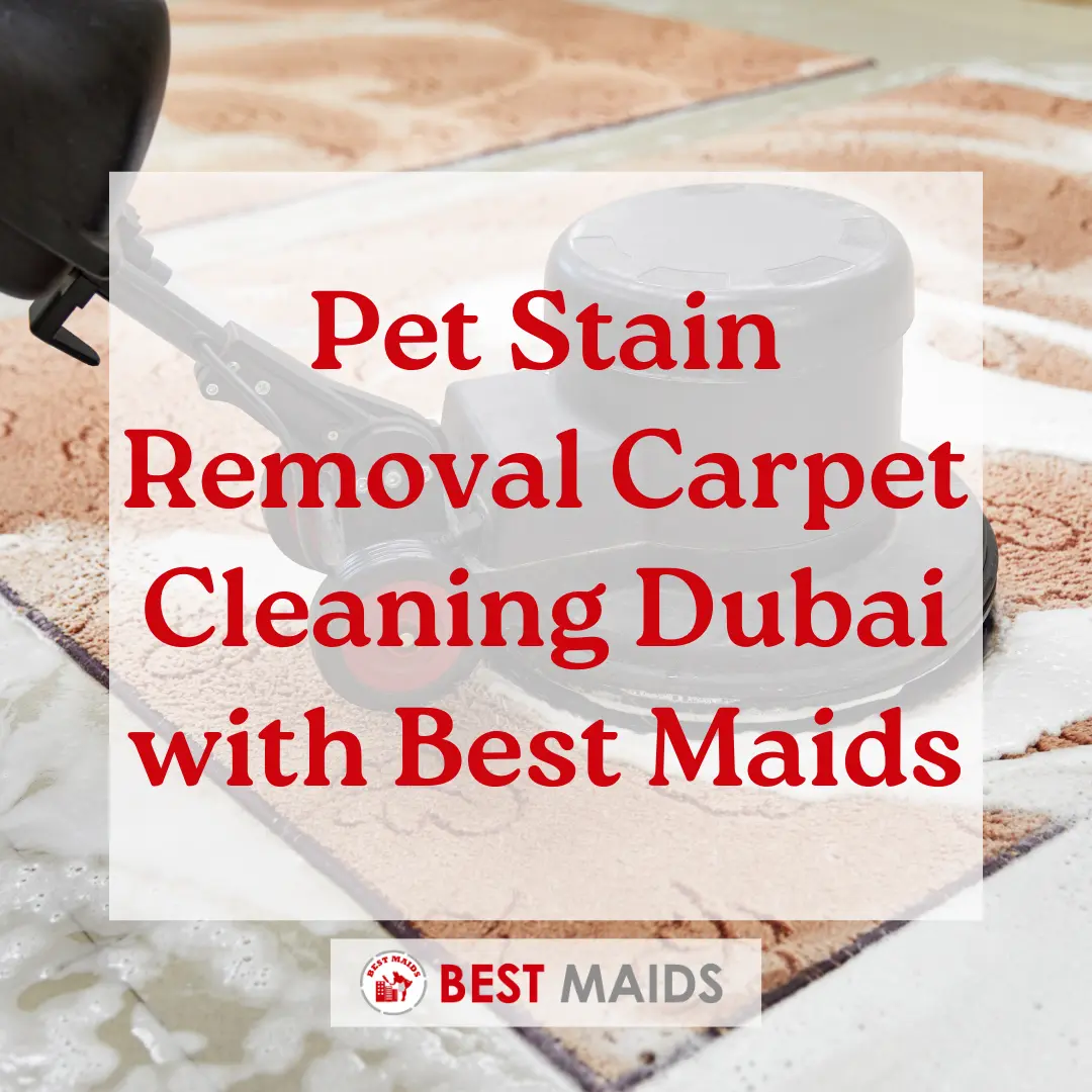 Pet Stain Removal Carpet Cleaning Dubai with Best Maids