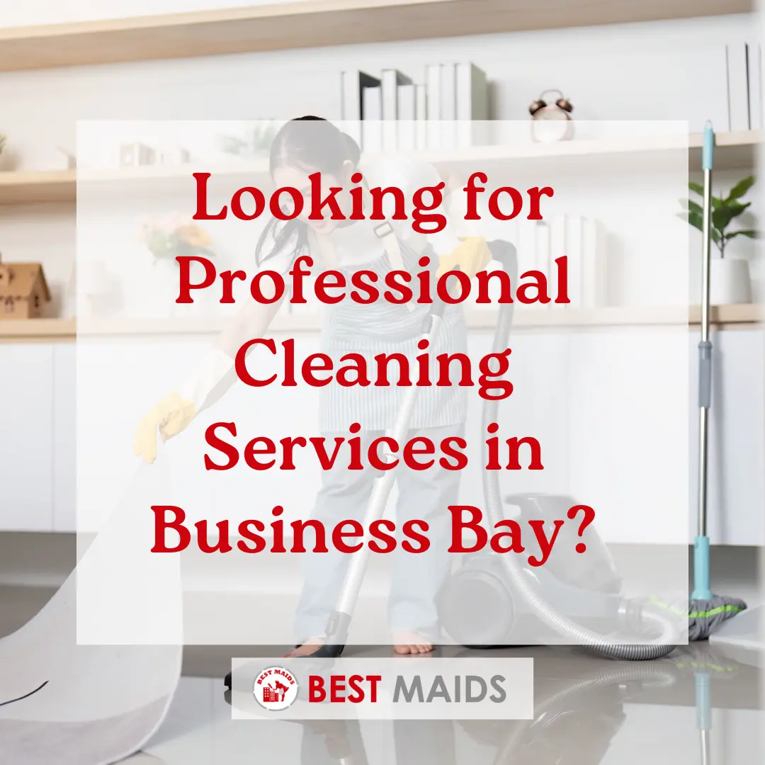 Looking for Professional Cleaning Services in Business Bay?