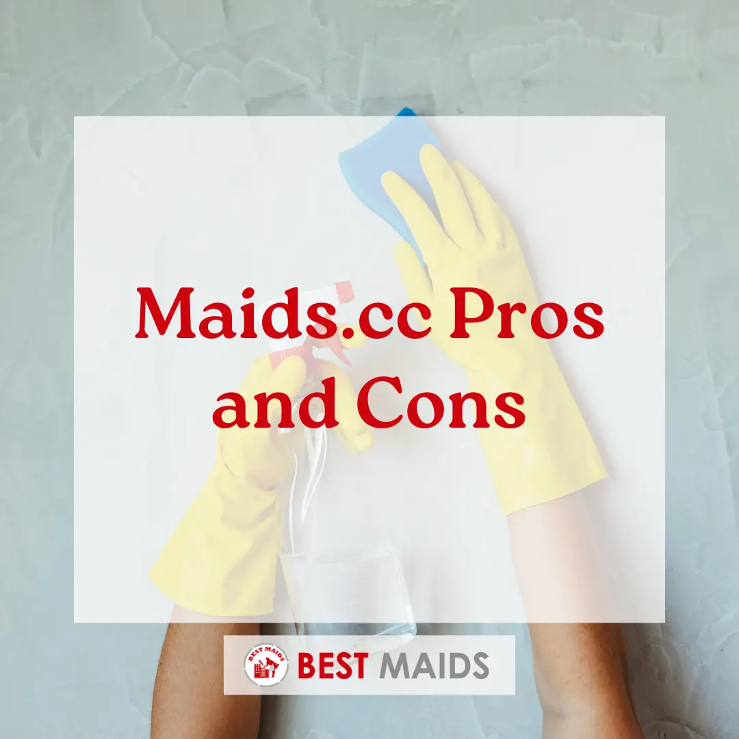 Maids.cc Pros and Cons