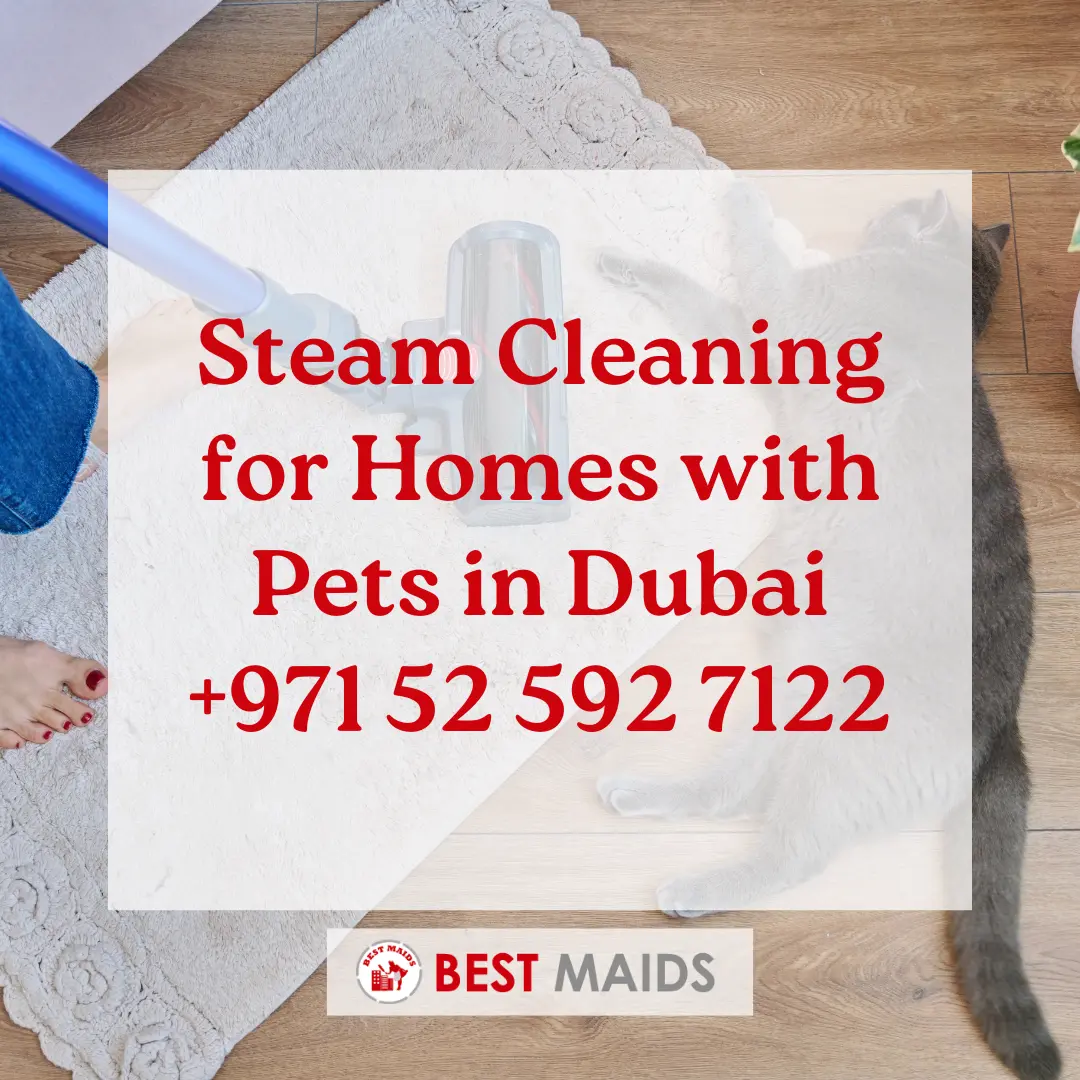 Steam Cleaning for Homes with Pets in Dubai | +971 52 592 7122