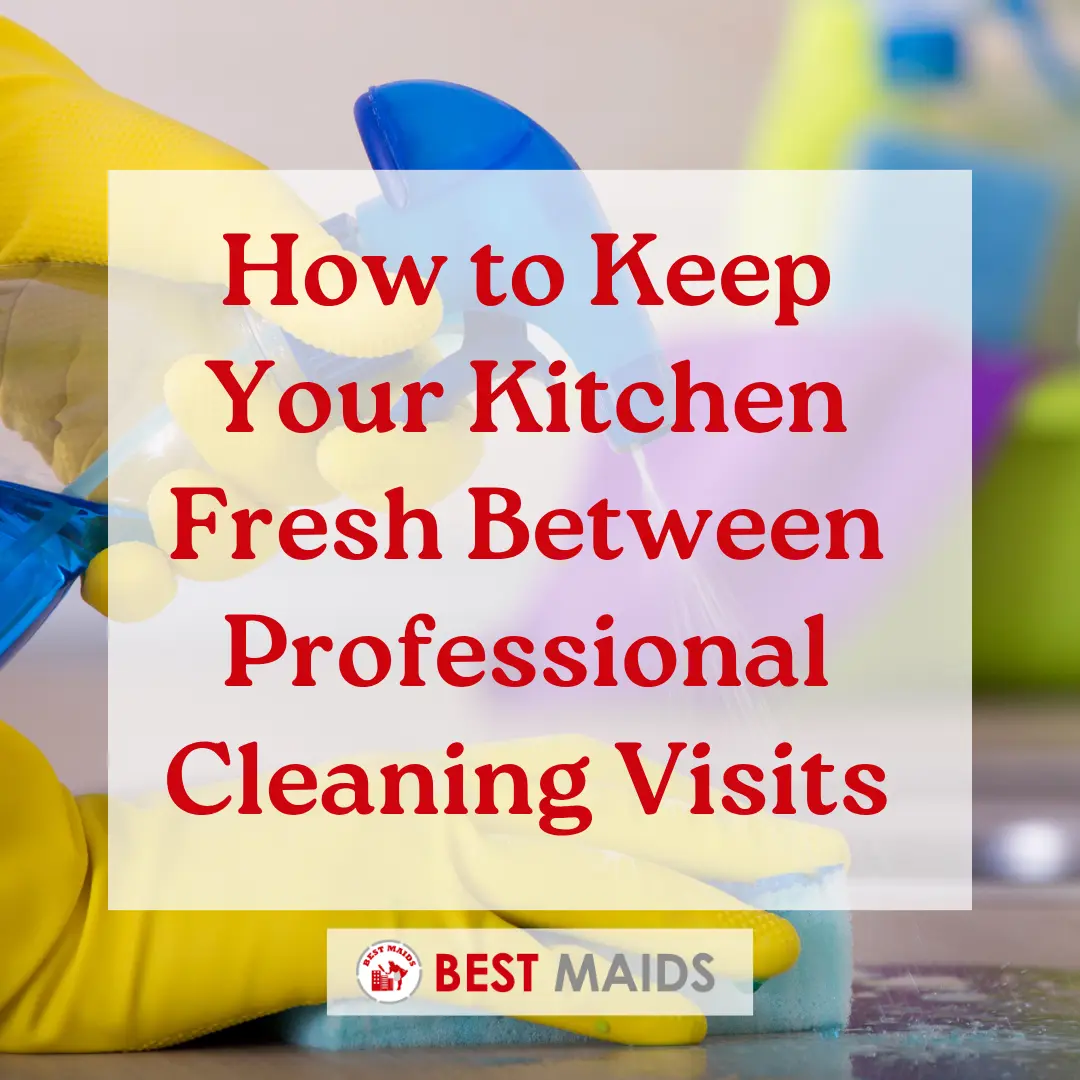 How to Keep Your Kitchen Fresh Between Professional Cleaning Visits
